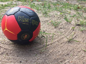 爱游戏电竞官网-“沙滩赛场燃爆天府新区，沙滩手球和合球上演极限对决”