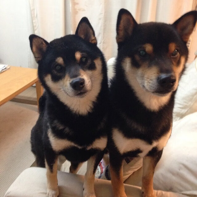 爱游戏中国官方登录入口网站-中国三人篮球女队进攻火力全开，中国三人篮球女队员名单