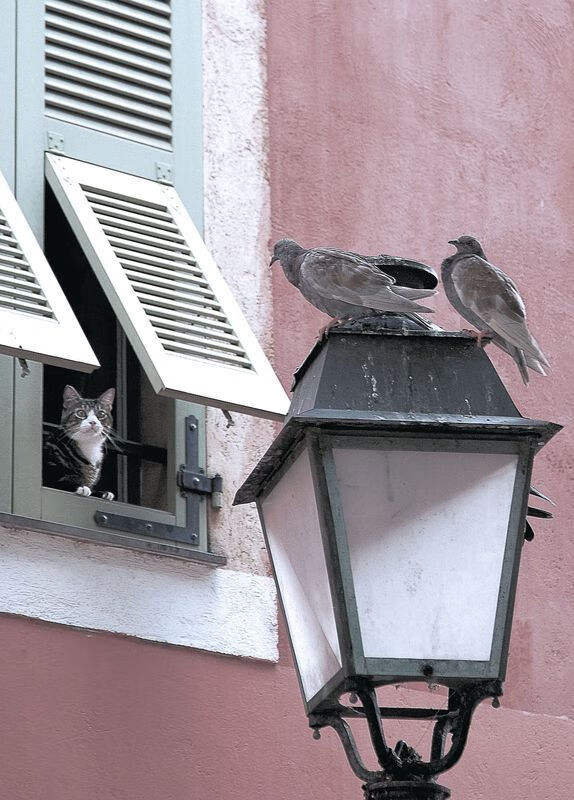 爱游戏体育app-中国女篮快速适应比赛节奏，中国女篮战况如何