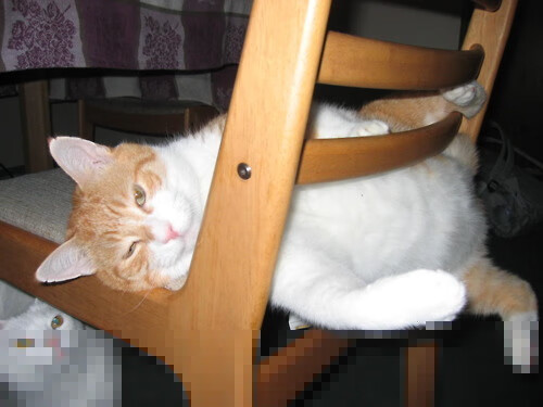 爱游戏app下载-博卡青年展现韧性，但技术短板明显，博卡青年培养出的球星